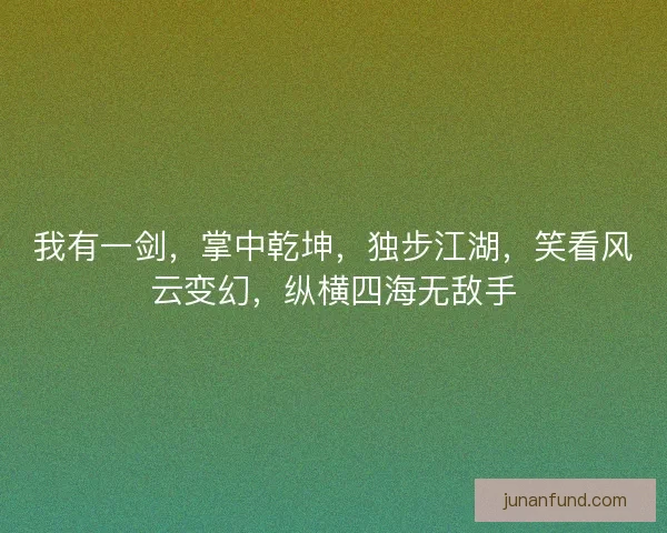 我有一剑，掌中乾坤，独步江湖，笑看风云变幻，纵横四海无敌手